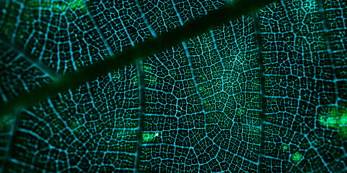 AI data mining example