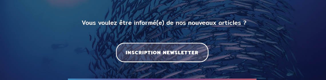 Bouton inscription newsletter