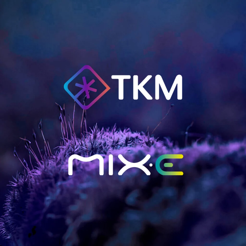 Image representing our partnership with the Mix.e Fair