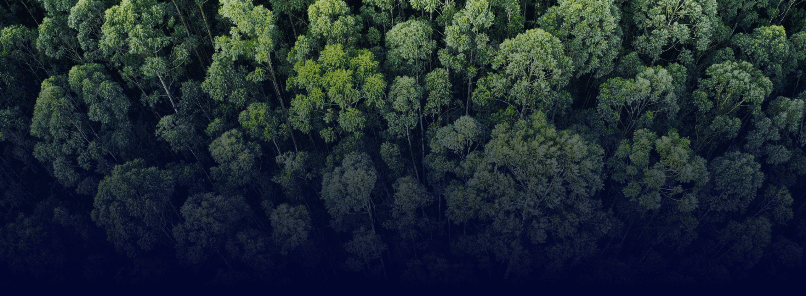 TKM logiciel de veille francais engagements